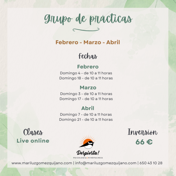 Grupo de prácticas - febrero 2024
